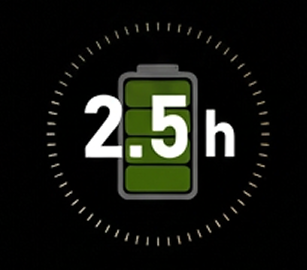 Fast Charging Performance